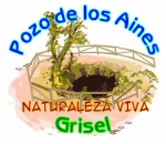 Logo Pozo de Los Aines Grisel